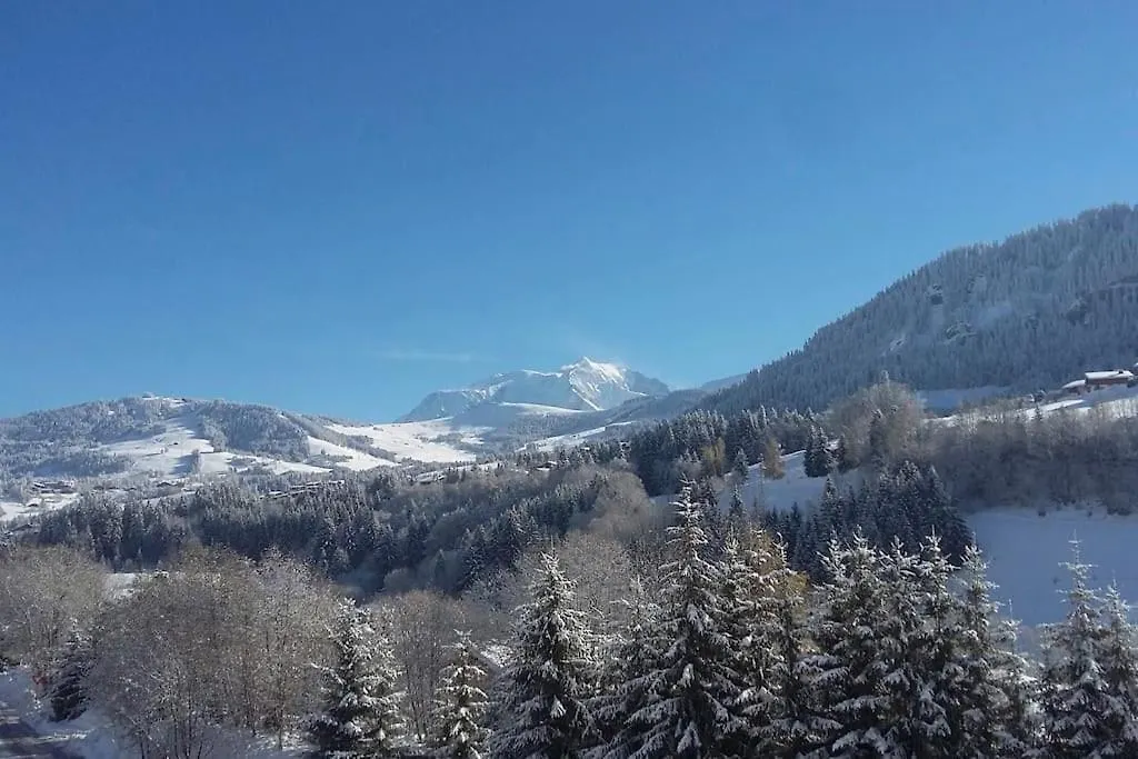 Chalet Vue Mont-Blanc, +4 Chambres, Cheminee Megeve France
